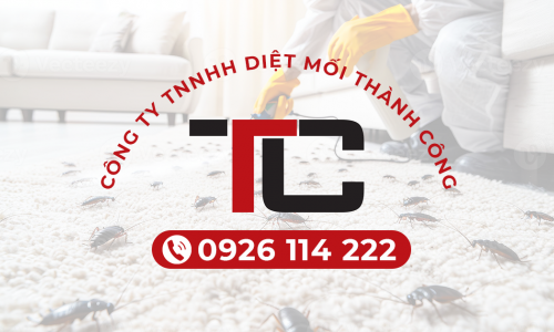 Dịch vụ phun muỗi tại Bắc Ninh