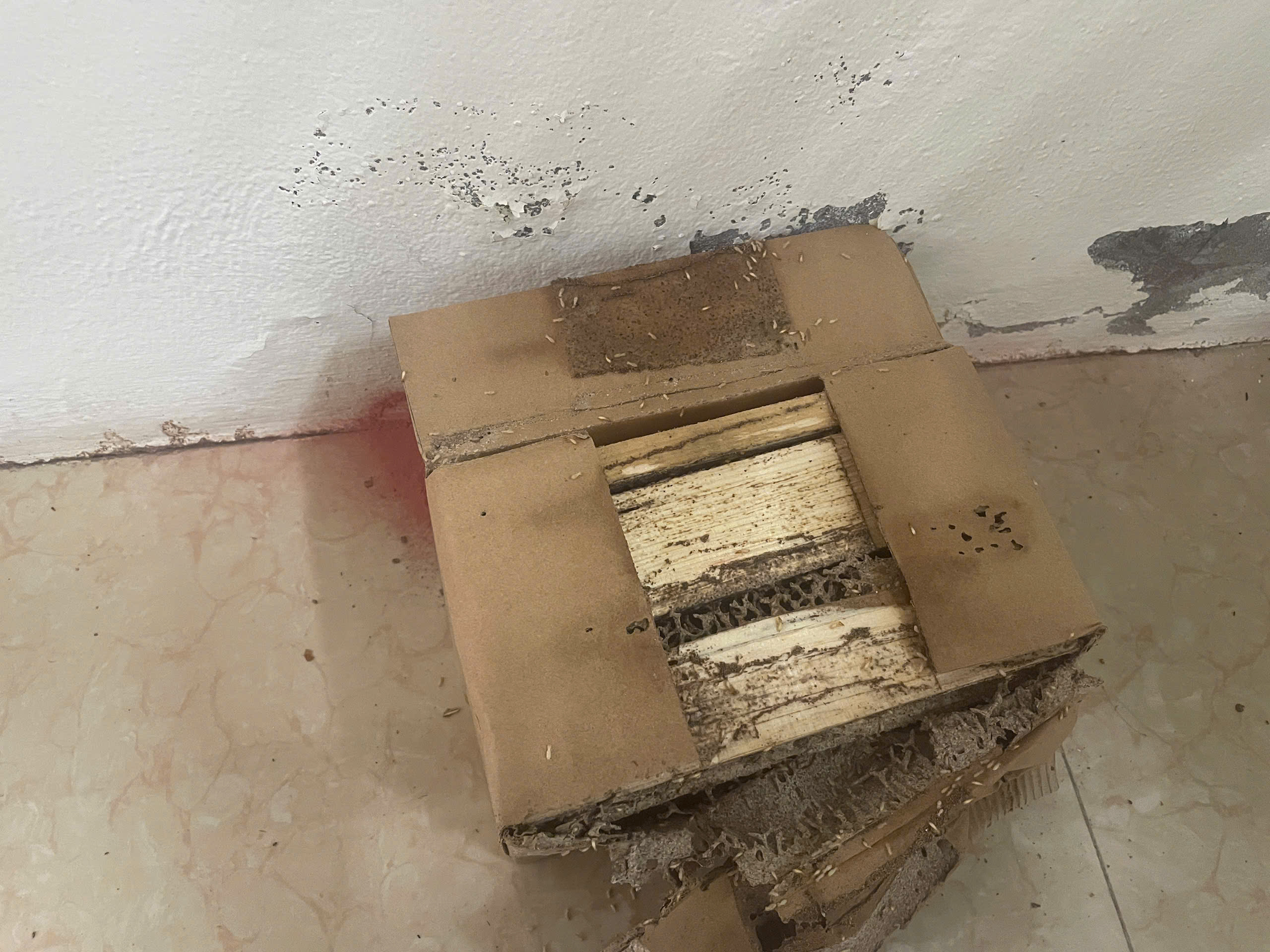 Hình ảnh thi công thực tế